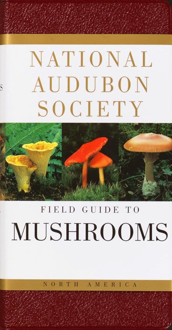Biological Sciences