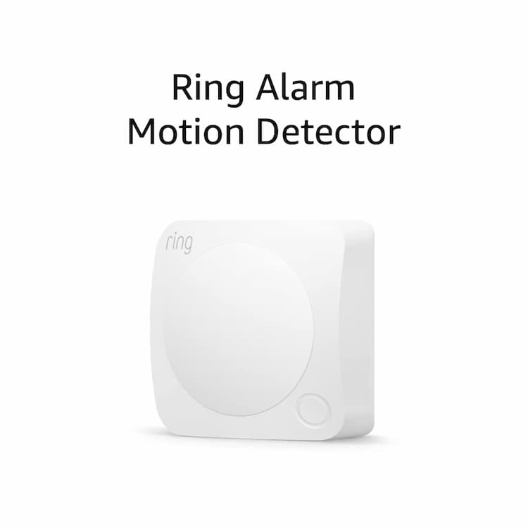 Motion Detectors