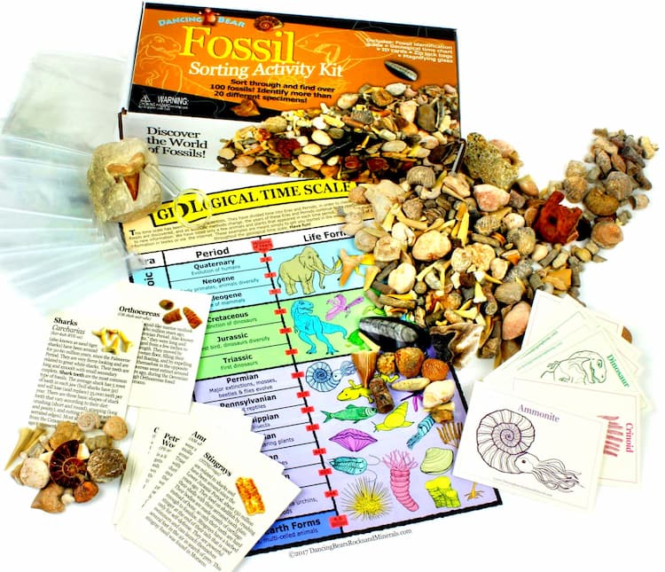Science Fossils