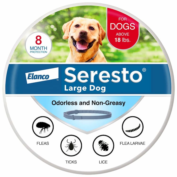 Dog Flea Collars