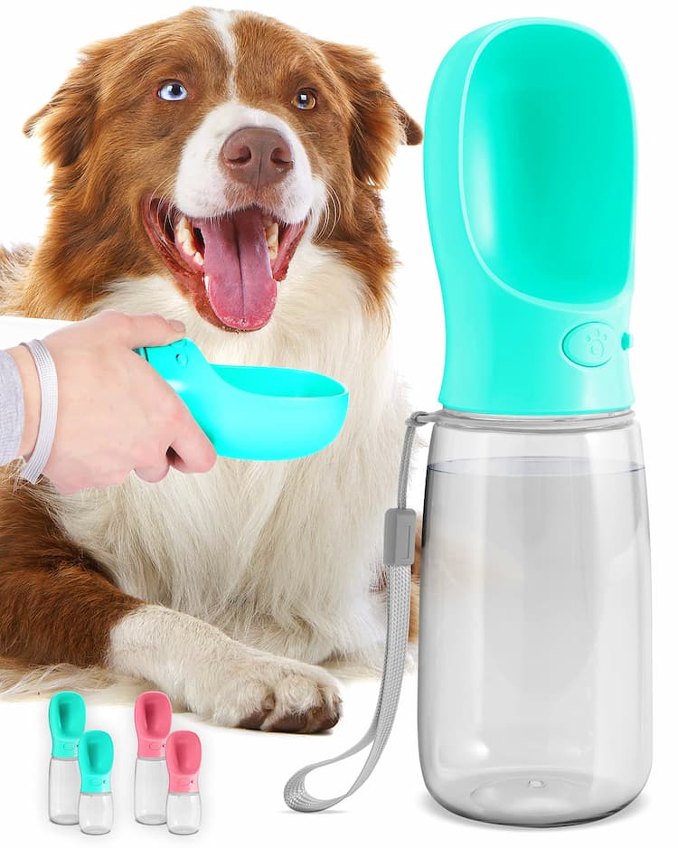 Dog Water Bottles