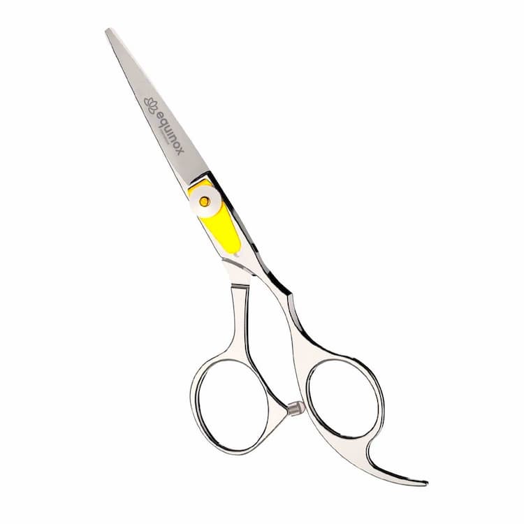 Hair Cutting Shears