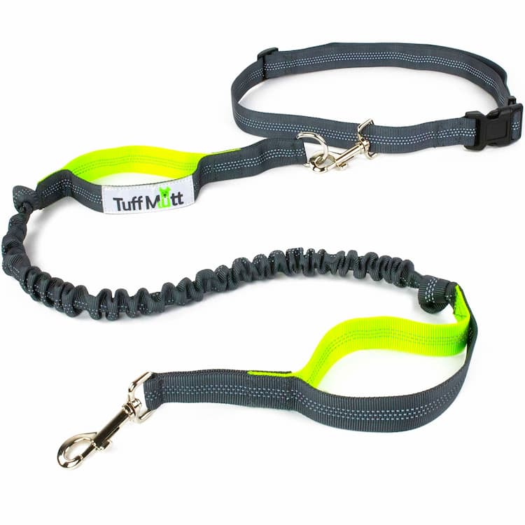 Dog Hands Free Leashes