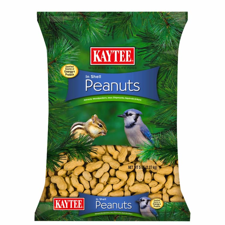 Bird Food (Pet Supplies)