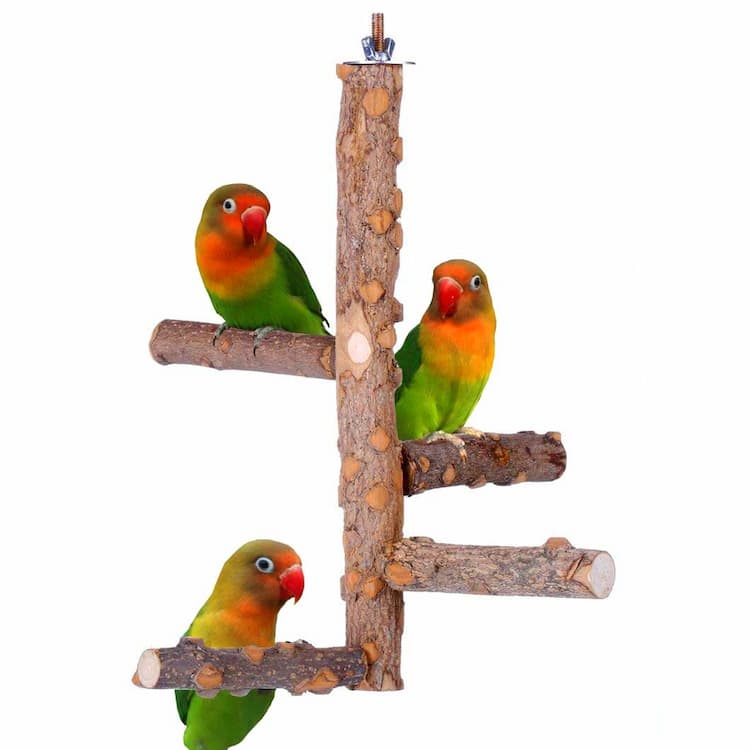 Birdcage Stands