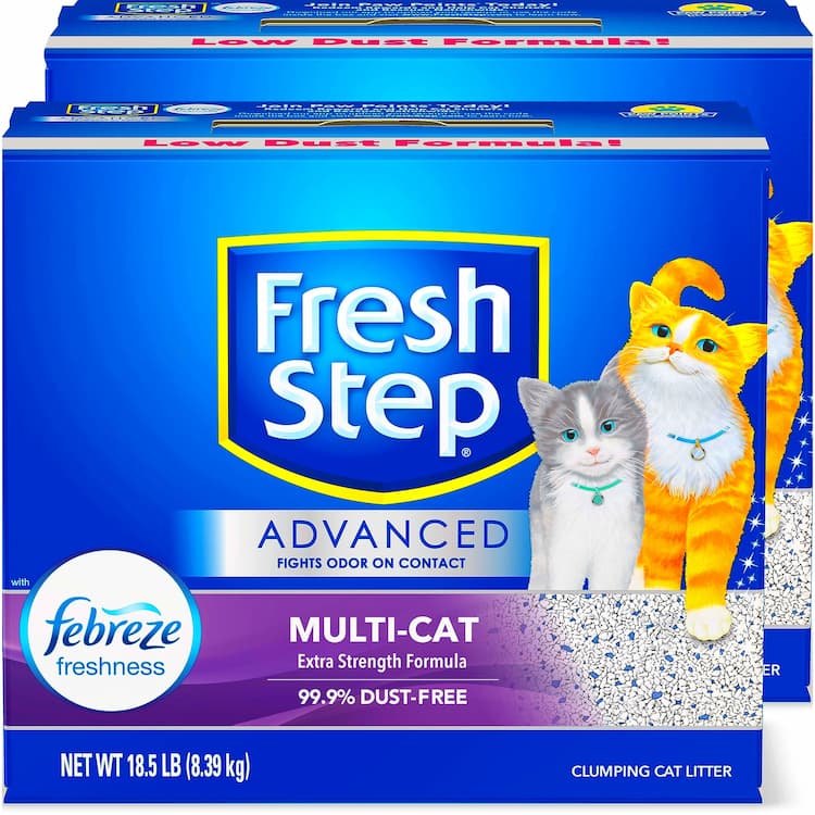 Cat Litter
