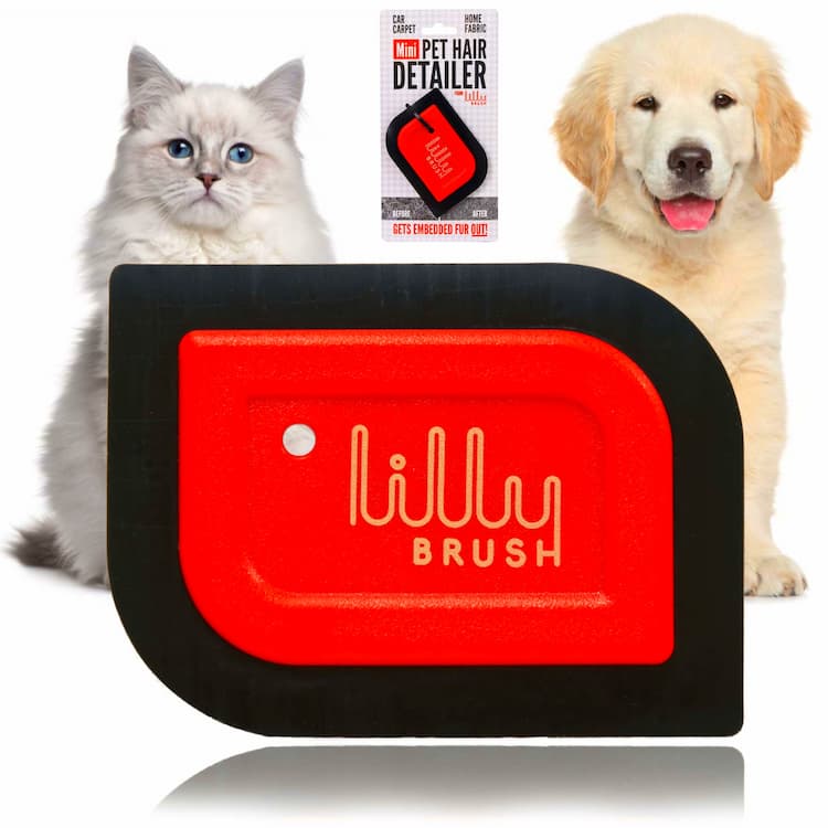 Dog Hair Removal Products