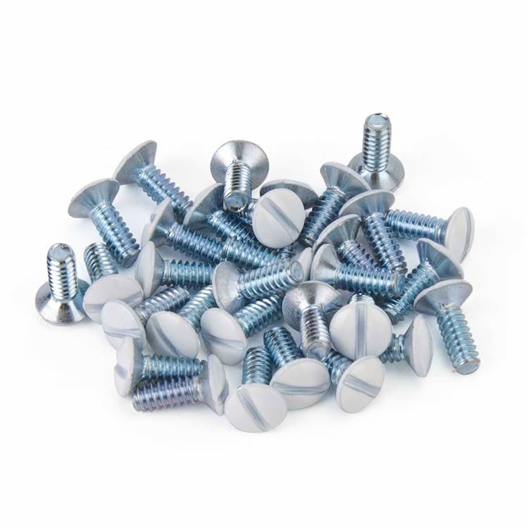 Wall Plate Screws