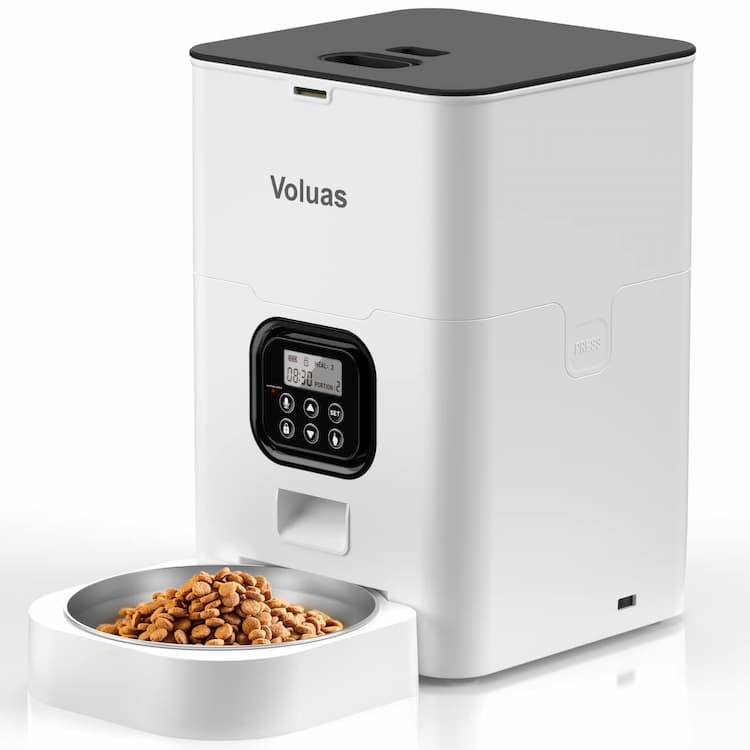 Automatic Cat Feeders