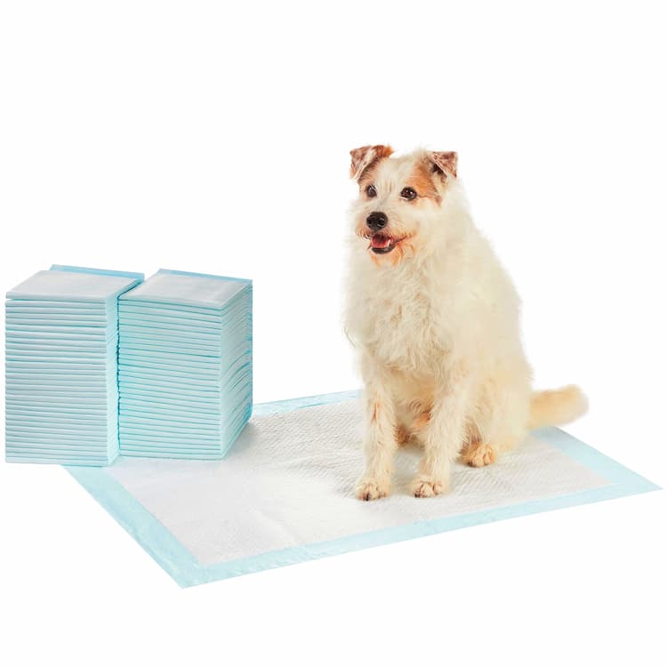 Disposable Dog Training Pads