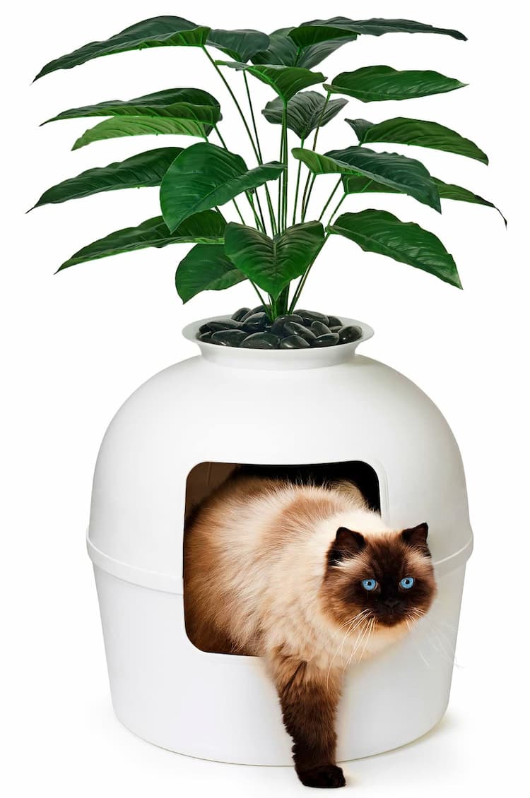 Cat Litter Box Enclosures