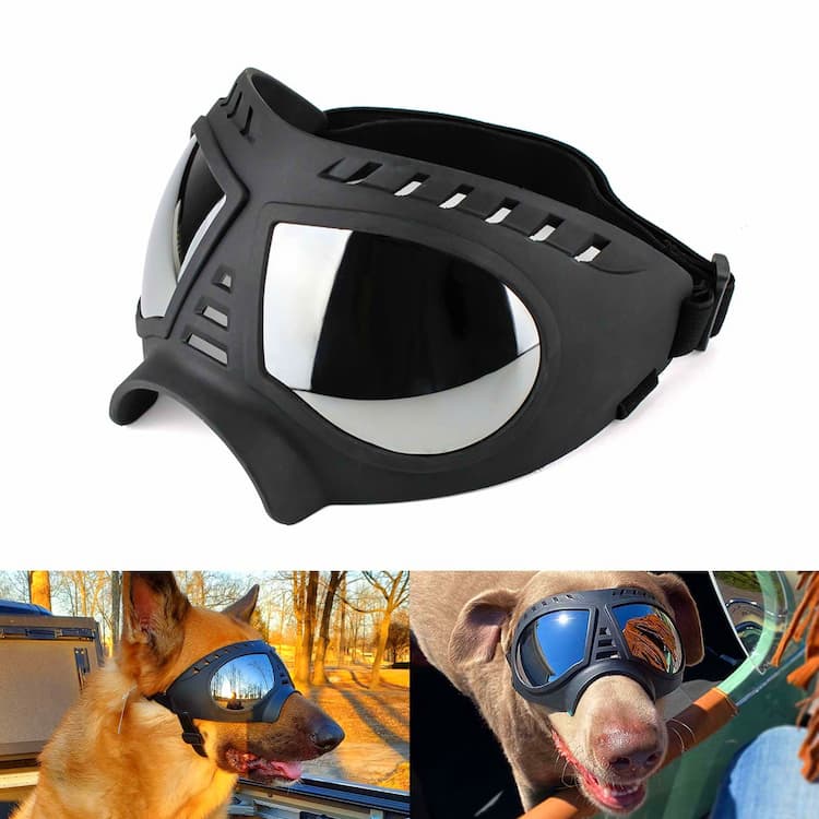 Dog Sunglasses