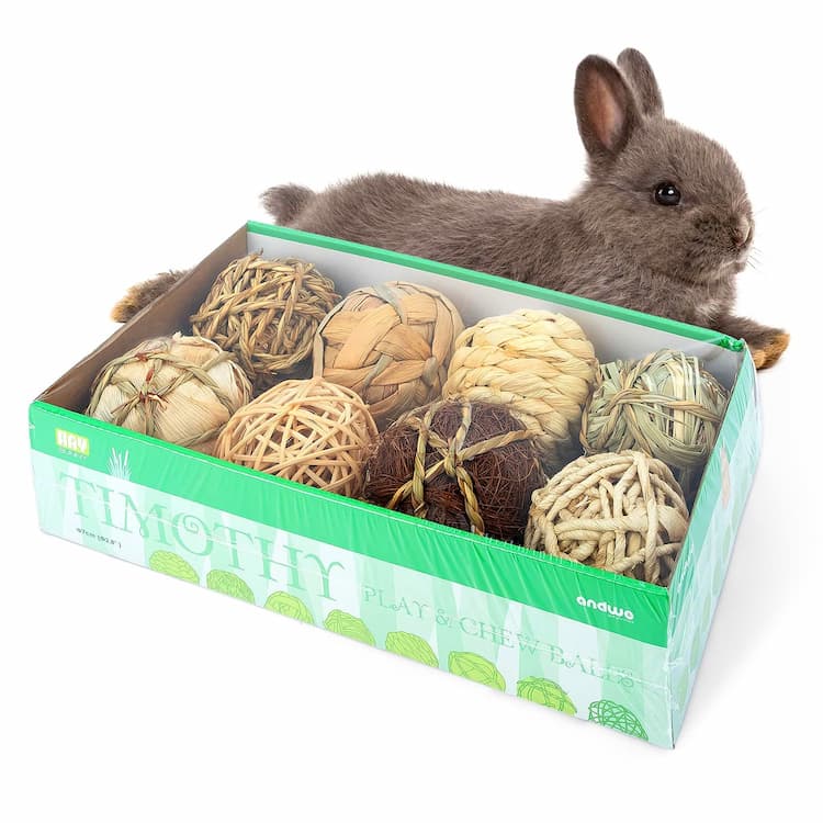 Small Animal Toys