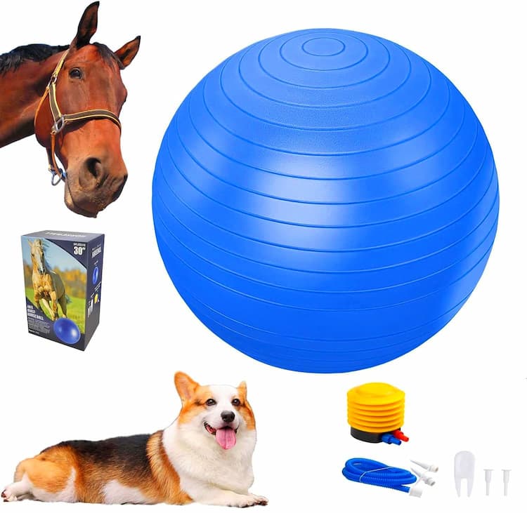 Horse Toy Balls
