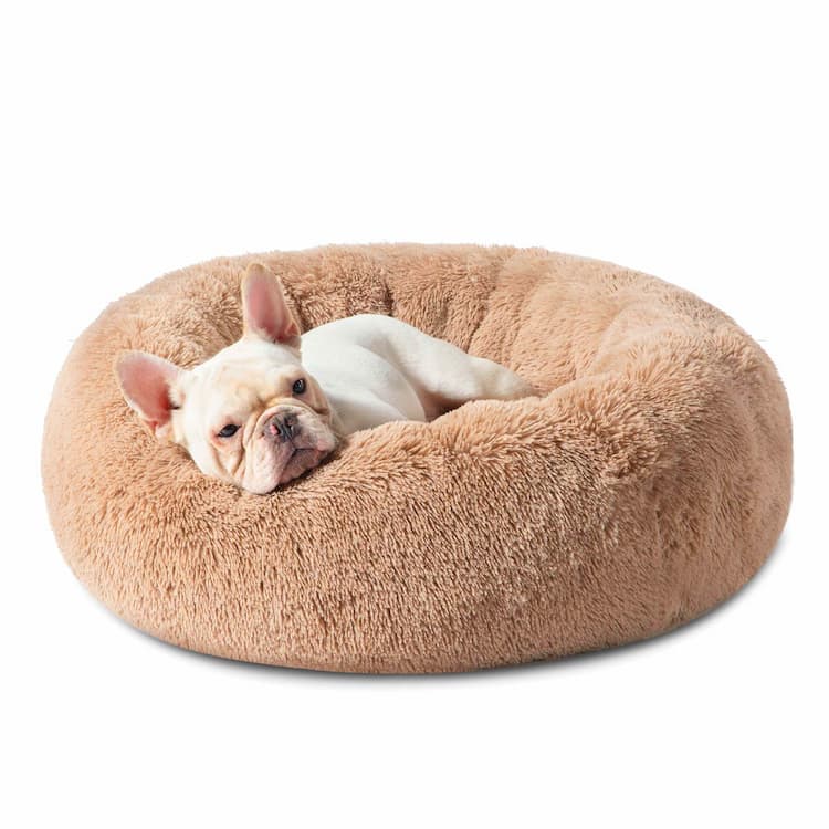 Dog Beds