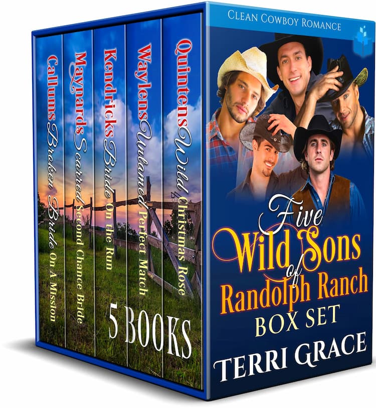 Christian Fiction Collections & Anthologies (Books)