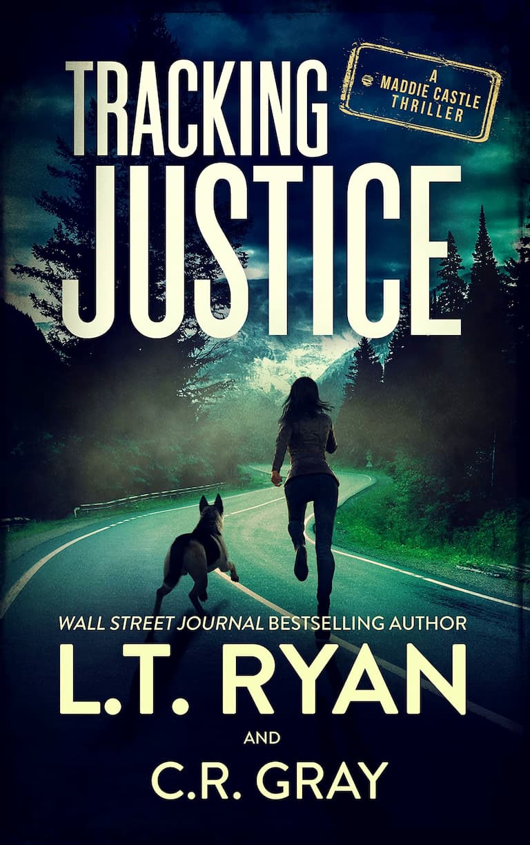 Vigilante Justice Thrillers