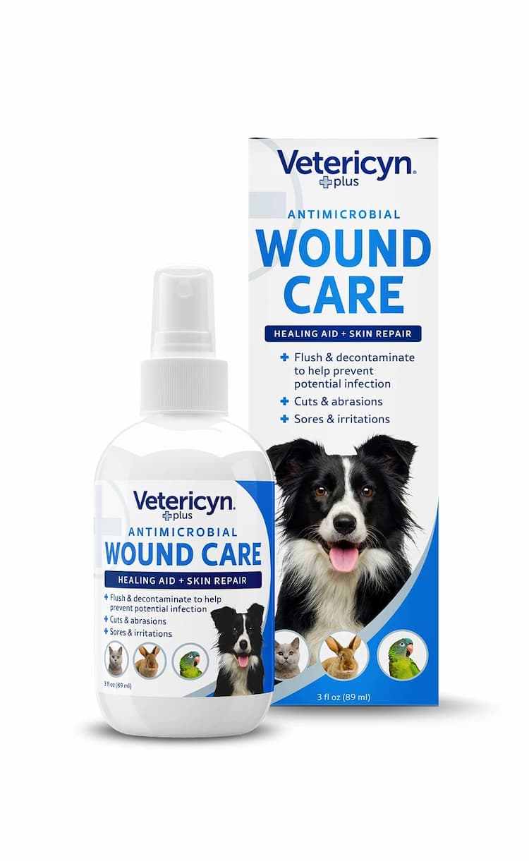 Dog Itch Remedies