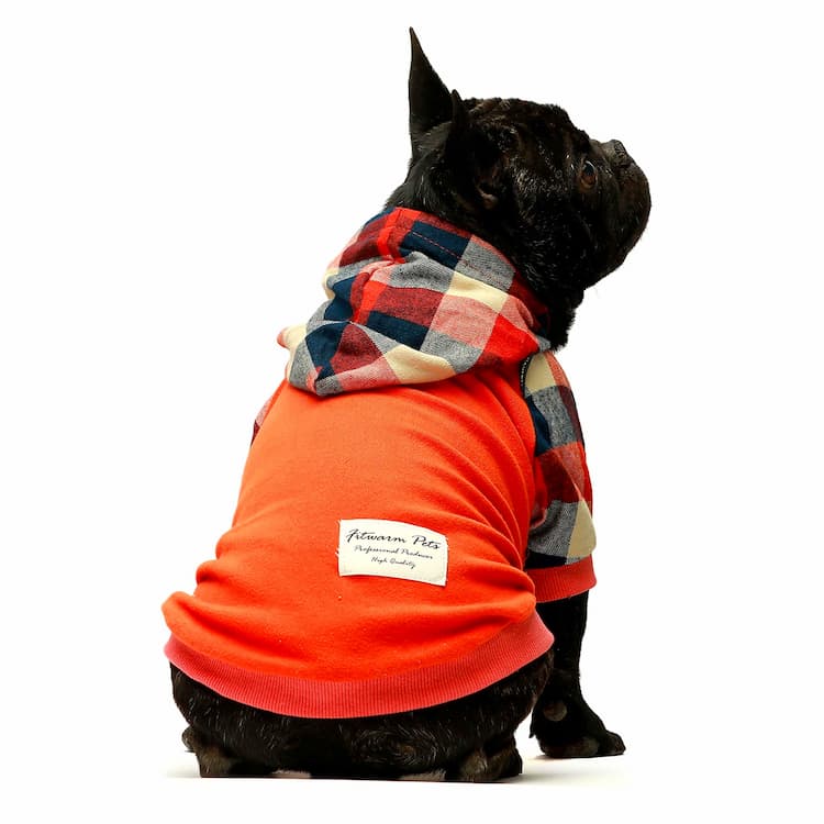 Dog Hoodies