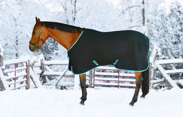 Horse Care Sheets
