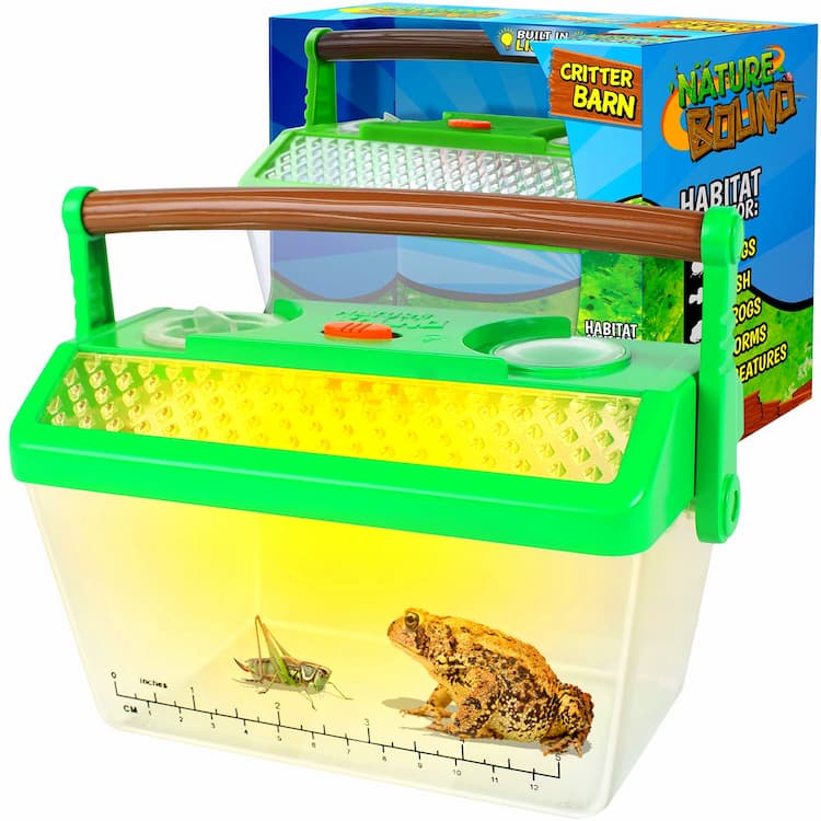 Beneficial Pest Control Insects