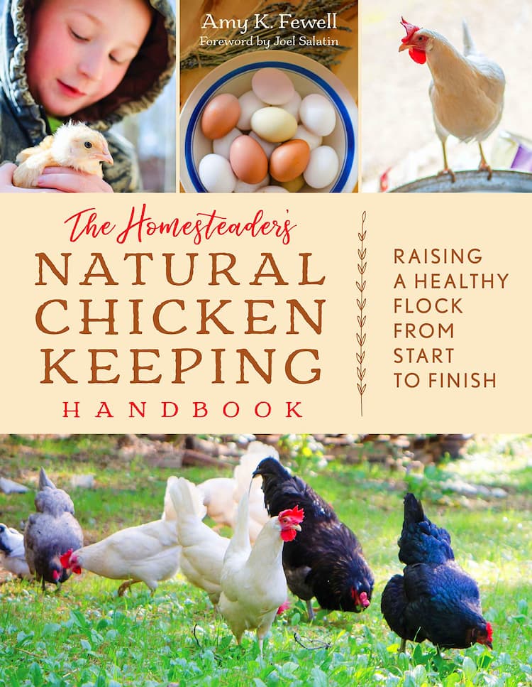 Bird Field Guides
