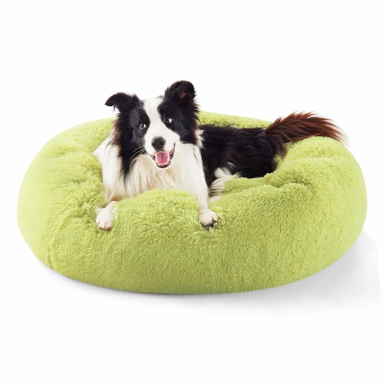 General Pet Bed Set