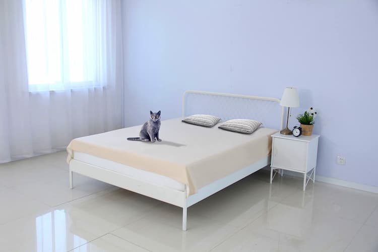 Dog Bed Liners