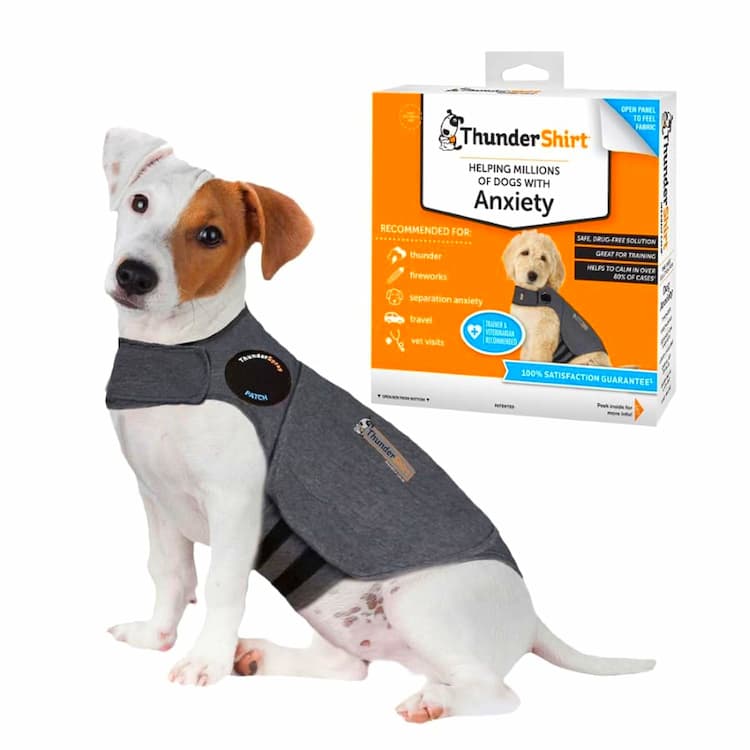 Dog Relaxants