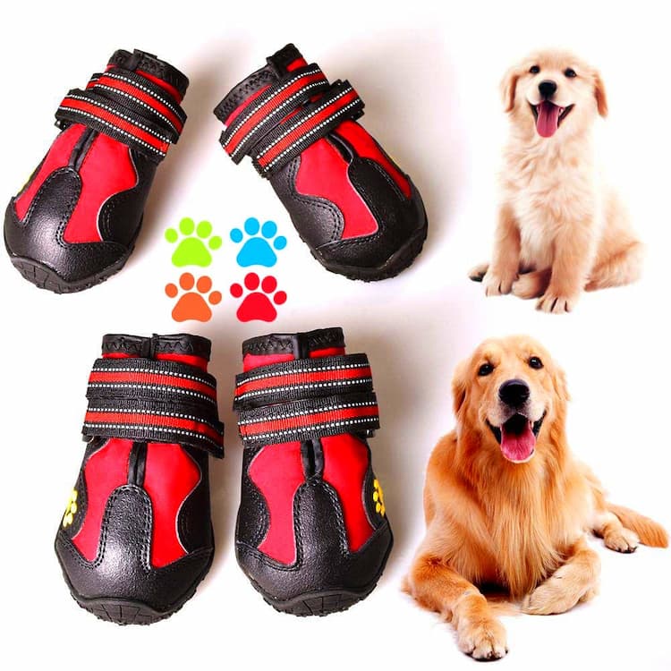 Dog Boots