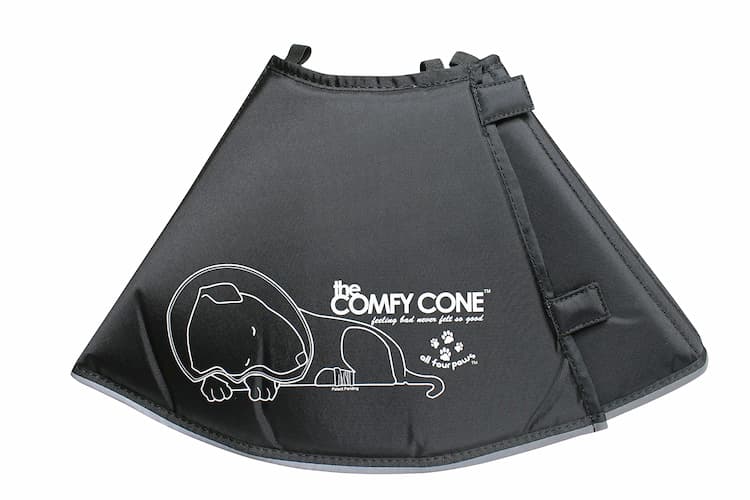 Dog Recovery Collars & Cones