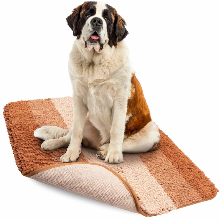 Premium Pet Essentials Collection.