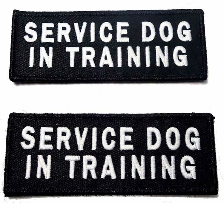 Premium Pet Apparel & Accessories Set