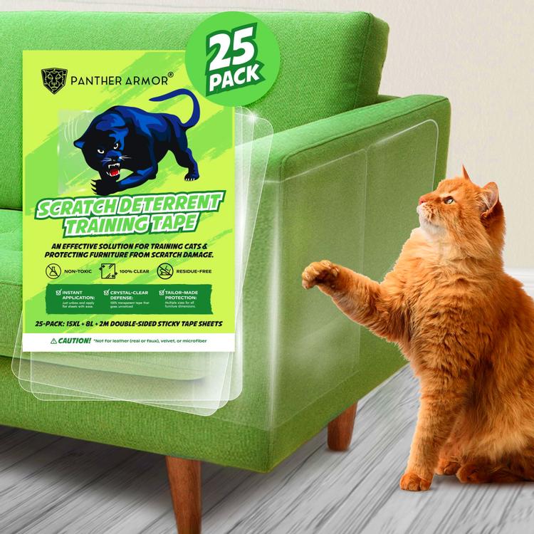Protective Cat Furniture Solutions