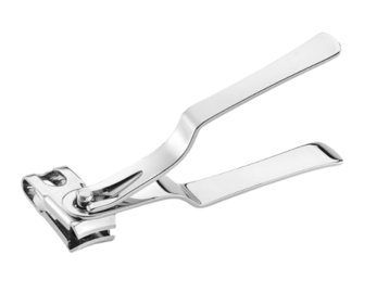 Everyday Grooming Tools