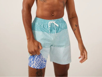 Chubbies Shorts for Summer