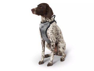 Must-Have Essentials for New Pet Parents