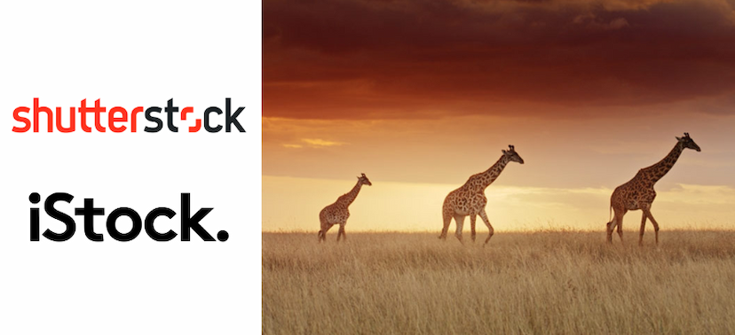 Shutterstock vs. iStock: Showdown of Stock Photo Giants